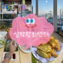 해성호 - 진도군 가계길 93-10 | 강원도 속초ㅣ설악항회센터 '17호 해성호' 내돈내산 찐만족 후기