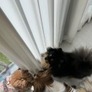 은평국제유치원 이미지