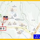 황령산 편백단지 이미지