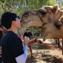 어은농장 이미지