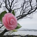 방자농장 이미지