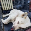 진위2산단로 이미지