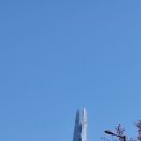 2025년 11월 9일 애슐리퀸즈 잠실롯데캐슬점/잠실한강공원/한강버스 잠실선착장/한강버스 이미지