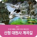 ＜163＞8월13일＜토요일＞ ‘유서깊은 지리산 명품길’ 경남 산청 대원사계곡길 이미지