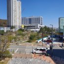 도램약국 이미지