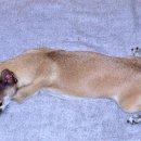 생활요가 이미지