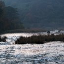 청양 칠갑산오토캠핑장 이미지
