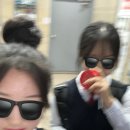 시시올 이미지