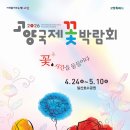 물들이다 Daum카페