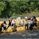 마비정벽화마을 이미지