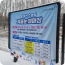 서초구(방배역) 무료자전거대여소 | 겨울 아기랑갈만한곳 양재천 눈썰매장 주차 입장료 먹거리 후기