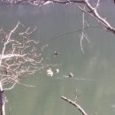 마산 봉암수원지 이미지