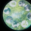 천정 태양광발전소 이미지