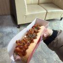 부솔 | [13주차~16주차] 임신부솔아몬일상,,, 1차기형아검사 결과 / 장꾸맘 각도법 후기 / 드디어 성별이...