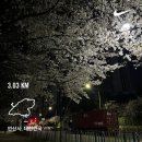 2025. 04. 28살 a quater has passed.