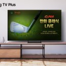 투어채널플러스 이미지