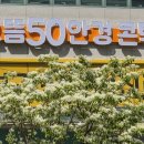 으뜸50안경 부산정관점 이미지