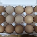 만리포헛개나무농장 이미지