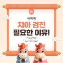 연세나은치과의원 이미지