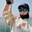 바다(sea)