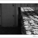 돌담이네 이미지