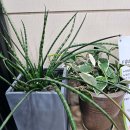 수유리더스정형외과의원 이미지