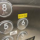 바비짐 | 울산 동구 바비짐 감량후기 n년째 다이어트 중,,