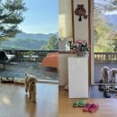 몽롱한 노을 펜션 이미지