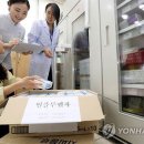 독감·인플루엔자·신종플루..차이점은? 이미지
