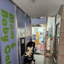 [평촌]키즈카페 아니 베이비카페! 배시시 방문 후기 #주말 가족 나들이