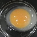 이엔메디칼 이미지