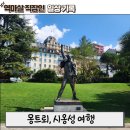 머큐리 PC | 스위스 신혼여행 🇨🇭 몽트뢰 &amp; 시옹성 후기 (골든패스 익스프레스 예약, 스위스패스)