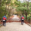 대둔산도립공원 이미지