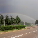 야로시장 이미지