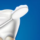 금호정든치과의원 이미지