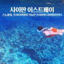 이스트카 | 놀다 사이판 이스트베이 프리다이빙 포인트 찐 후기 (스노쿨링 가능)
