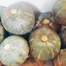 밤이농장 이미지