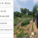사강농장 이미지