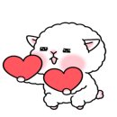 우주펫애견미용 이미지