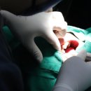 보스톤심치과의원 이미지