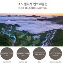 소노펠리체 컨트리클럽 비발디파크 이미지