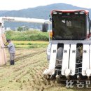 동철원농협미곡종합처리장 | 인상파냐, 신중파냐…‘조생종 벼 매입가’ 지역별 온도차 [26년 8월 31일 뉴스]