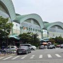 대전 노은동 수산시장 회포장 대광어 저렴하게 구매 후기