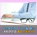 파티마안경 이미지