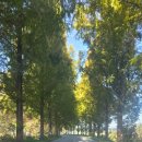 임곡복지문화관 이미지