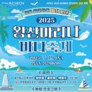 바다축제 네이버블로그
