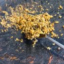 씨유 학익sk뷰점 | 학익동맛집 성원닭갈비 학익점 물닭갈비 솔직 후기