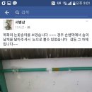 소애촌