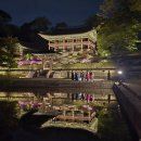 금호문구 | 2026 창덕궁 달빛기행 예매 당첨 기간 다녀온 후기