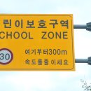스쿨존 티스토리